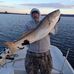 Steve Graydon - Facebook