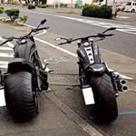 Steve Greeley - @greeleysteve - Instagram