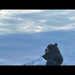 Steve Grimm - @instagrimm81 - Instagram