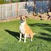 Steve Grimsley - Facebook