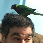 Steve Grossman - @grossman7250 - Instagram