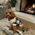 Steven Grossman - @steve_grossman12 - Instagram