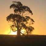 Steve Groves - @stevergroves - Instagram