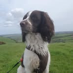 Steve Groves - Facebook