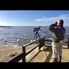 Swannery Steve - @stevegroves4 - TikTok