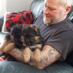 Steve Guertin - @steve.guertin.1 - Instagram