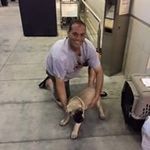 Steve Guertin - @sgaap73 - Instagram