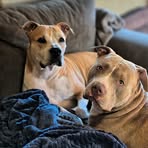 Steve Guzzo - Facebook