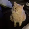 suzannelynn702 - @steveandsuzannehackett - TikTok