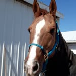 Steve Hagedorn - @71154steve - Instagram