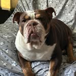 Steve Hageman - @shageman65 - Instagram