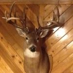 Steve Hager - @steve.hager.376 - Instagram