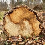 steve_hager_ - @steve_hager_ - Instagram