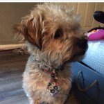 Steve Haggerty - @hagman126 - Instagram