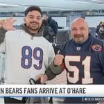 Steve Haji - @stevehaji - Instagram