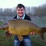 Steve Halley - @stevehalley - Instagram