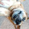 Steph Hallock - @stephhallock - TikTok