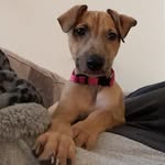Steve - @steve.halsteadoglu - Instagram