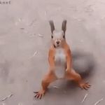 Steven Hambright - @sthambright - Instagram