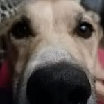 Steve Hammer - @hammer7602 - Instagram