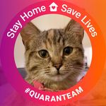 Steve Hammer - @shammer777 - Instagram