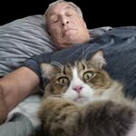 Steve Handy - @stevehandy9663 - Instagram