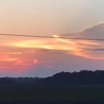 Steve Handy - @stevehandy75 - Instagram