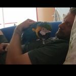 Steven Hanrahan - @hanrahan.steven - Instagram
