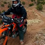 Steve Harbour - @doubleesteve - Instagram