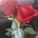 Fahrudin Masovic - @steveharis75 - Instagram
