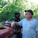 Steve Harless - @steve.harless - Instagram