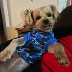 Steve Harrelson - @vpofripinc - Instagram
