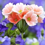 @steve___harry - Instagram