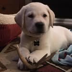 Steve Harshman - @steve_harshman - Instagram