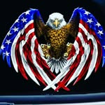 Steve Haskins😎🇺🇸 - @darbyseano - Instagram