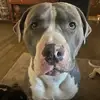 Steve Haskins - @haskins541 - TikTok