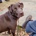 Steve Hasty - Facebook