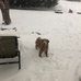 Steve Hatley - Facebook