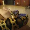 StEvE_HaTt - @magnumpi20201 - TikTok