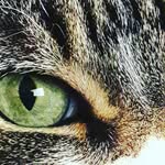 steve.hattie - @steve.hattie - Instagram