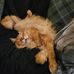 Steve Hawes - Facebook
