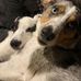 Stephen Healey - Facebook