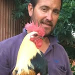 Steve Healey - @stevehealey2 - Instagram