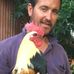 Steve Healey - Facebook