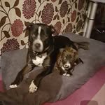 Steve Heath - @beefy0111111 - Instagram