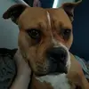 Steve Heath - @steve.heath36 - TikTok