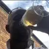 Steve Heath - @steve.heath16 - TikTok