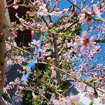 Steve Hedman - @steve.hedman - Instagram