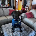 Steve Helgeson - @hotrodhelgie - Instagram