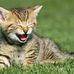 Steven Helgeson - Facebook
